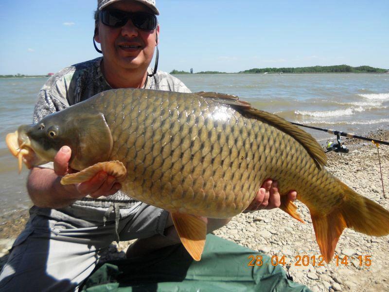 CONCURS LIKE-URI  - VOT PE FACEBOOK  - Benone Nicolae